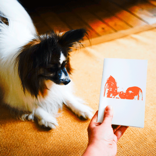 Loulou et son carnet