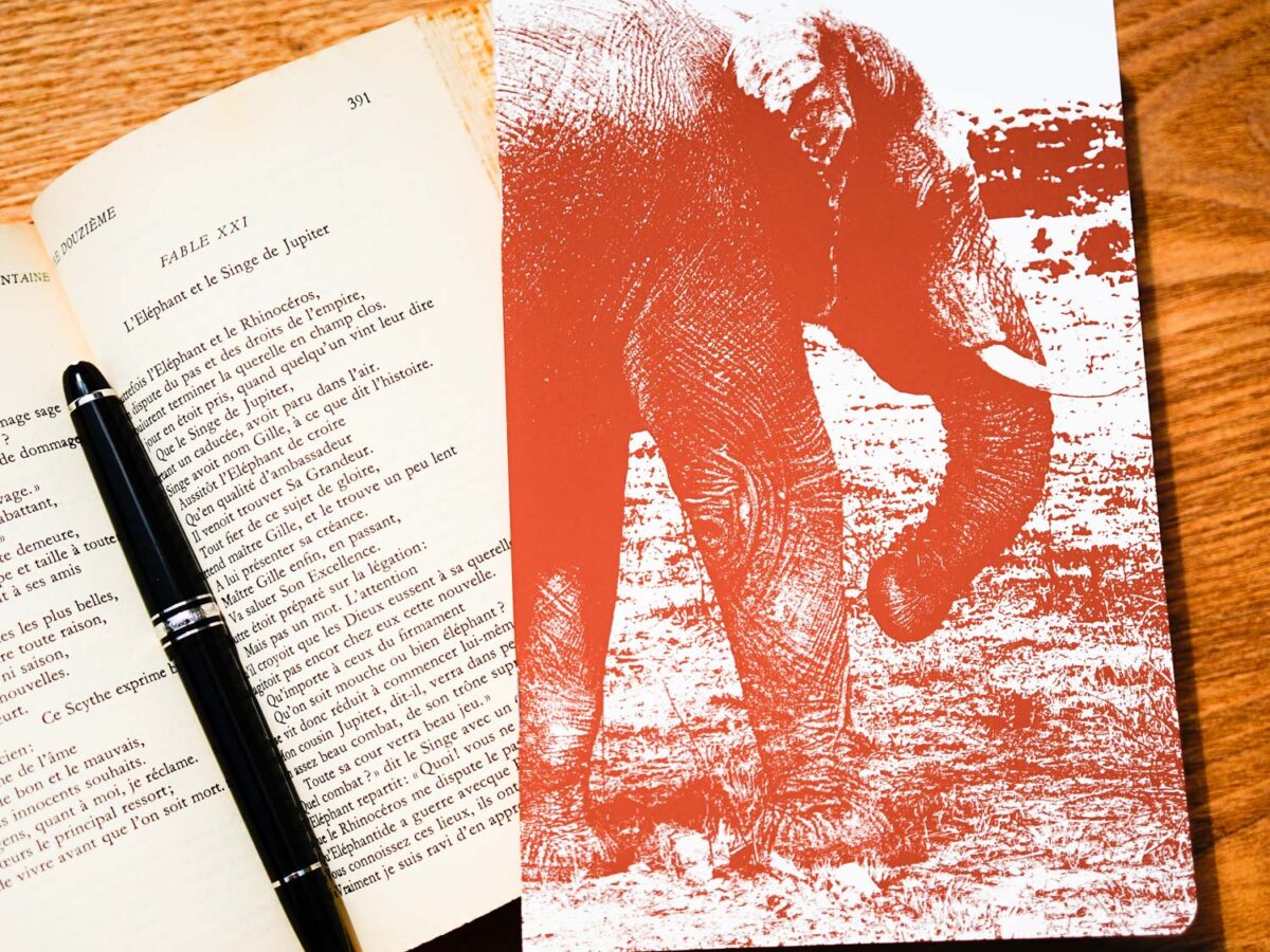 Carnet d'adresses: Repertoire telephonique alphabetique elephant animaux  sauvages d'Afrique by Comptabilite Du Microentrepreneur - Paperback - from  The Saint Bookstore (SKU: B9781677537822)