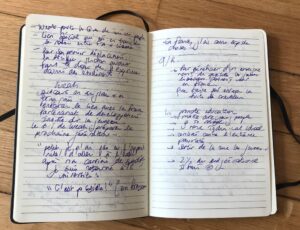 Les carnets de Laurent-David Samama