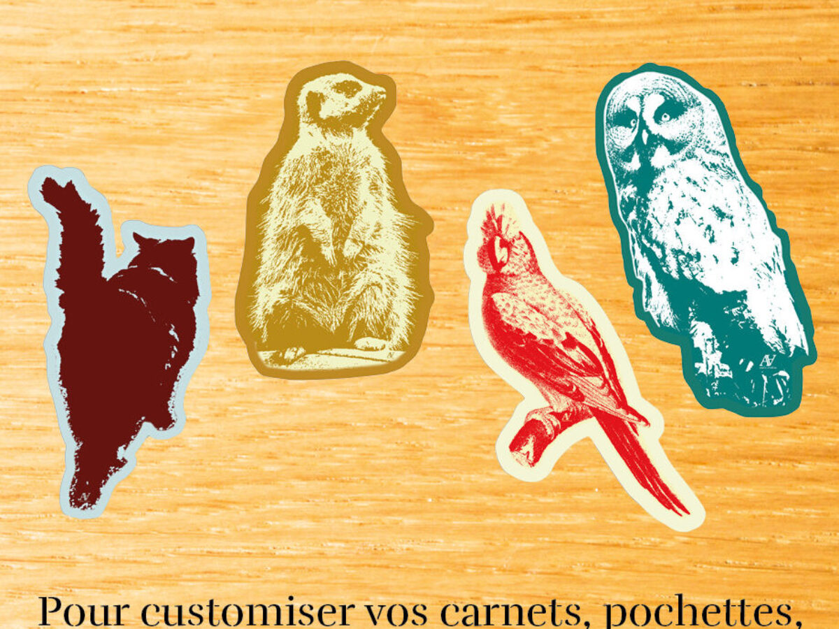 Pack stickers animaux - Atelier d'Albion
