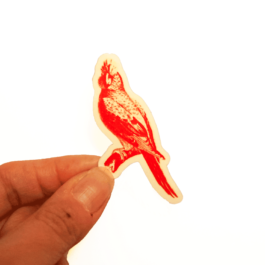 Sticker Perroquet