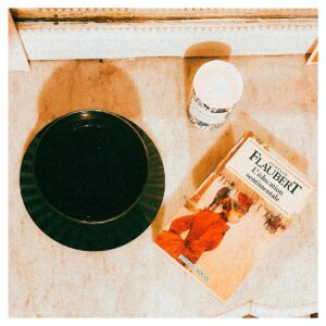 Écrire avec Gustave Flaubert