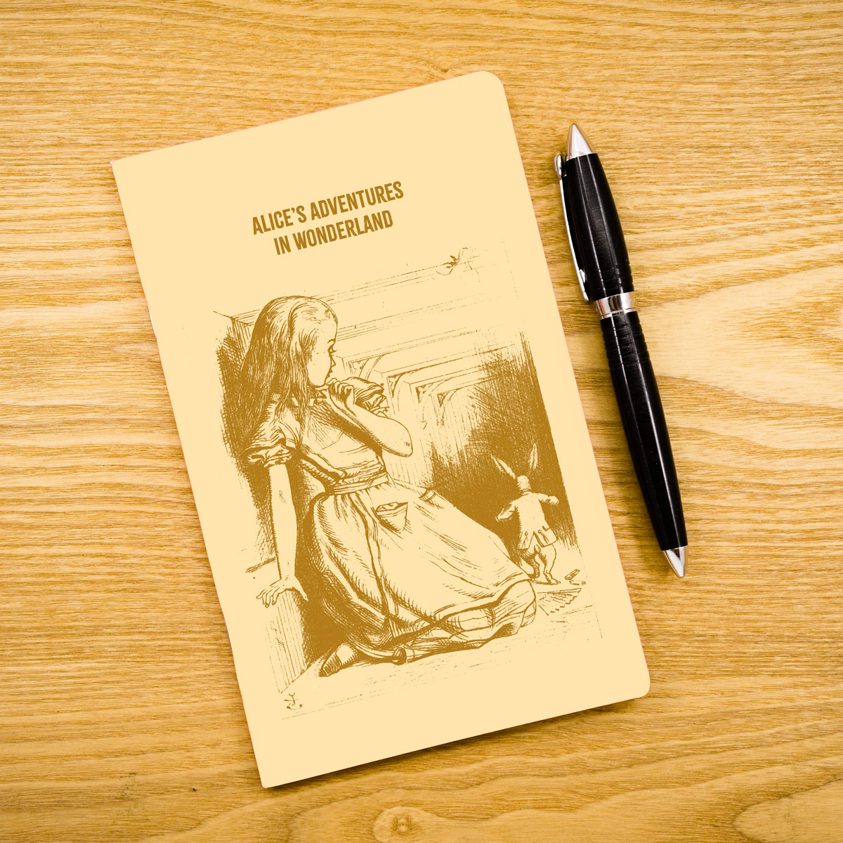 Carnet Alice & the Rabbit