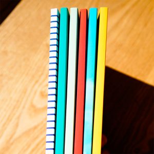 Dos des carnets cousus